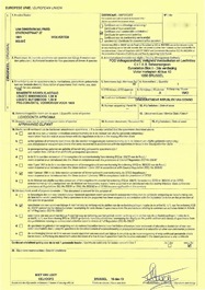 Une d&eacute;fense d'&eacute;l&eacute;phant avec certificat CITES, 20&egrave;me
